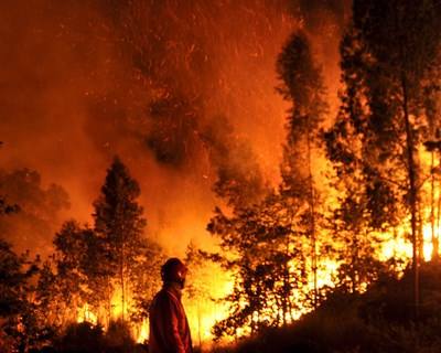 Incêndios: €2 milhões para apoiar agricultores afetados