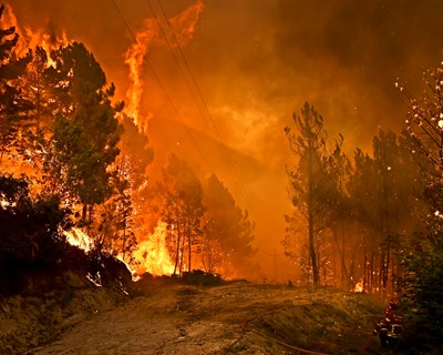 Incêndios: Alentejo, Algarve e Andaluzia unem-se em projeto de centro ibérico de 24,6 milhões de euros
