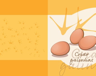 INIAV publica guia juvenil sobre "Criar Galinhas"
