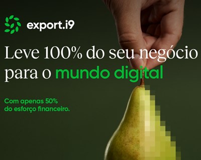 InovCluster apoia PME na criação de lojas online e adesão a marketplaces
