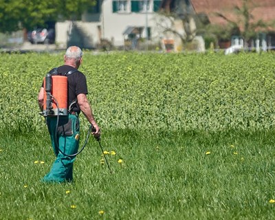 Inquérito do Rural Youth Project pretende avaliar impacto da Covid-19 no setor agrícola