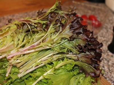 Insegurança alimentar atingirá pico em 2050