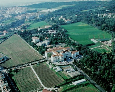 Instituto Superior de Agronomia abre vindimas ao público
