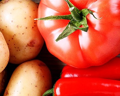 Intermarché promove II edição do prémio que distingue a produção nacional