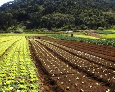 IPMA diz que chuva terá de continuar em abril para atenuar efeitos da seca