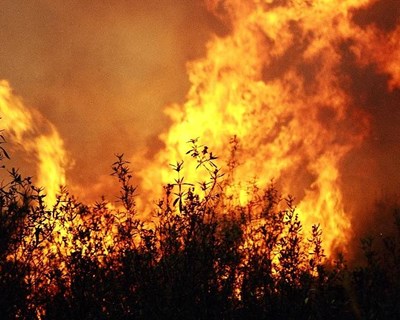 IPVC debate desafios da Proteção Civil no combate aos incêndios rurais em tempo de Covid-19