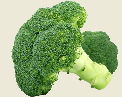 Itália debate projeto sobre “otimização de culturas hortícolas para agricultura biológica”