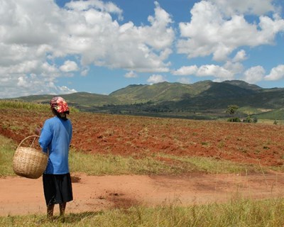 Itália vai apoiar desenvolvimento da agricultura angolana