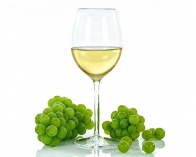 IX Encontros Vínicos do Vinho Verde regressam a Viana do Castelo