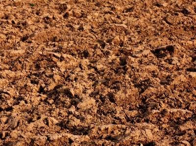 Já abriram as candidaturas ao prémio “Gestão do solo e da terra”