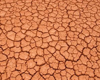 Já é conhecido o parecer europeu sobre as políticas climáticas na agricultura