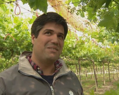 Jovem agricultor mais inovador da Europa é de Ferreira do Alentejo
