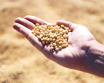 Laboratórios Colaborativos do setor Agroalimentar com volume de negócios de 445 mil euros
