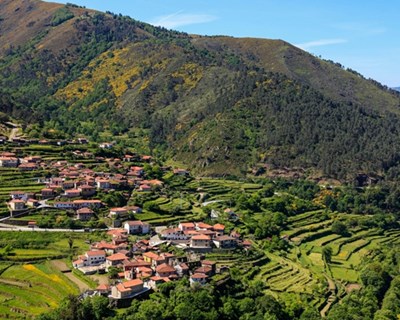 Lançados avisos de 8,5 milhões de euros para Resiliência dos Territórios