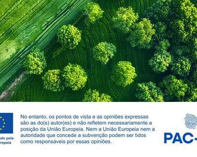 Lançamento oficial do Projeto PAC-TO: a promover um futuro mais sustentável