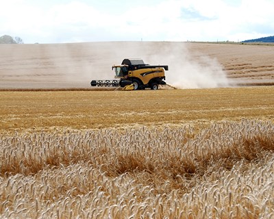 Lisboa: agricultura em debate na Universidade Católica