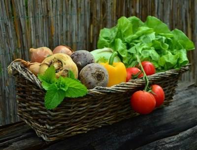 Lisboa: Agrobio promove 5.ª edição do curso Modo de Produção Biológico