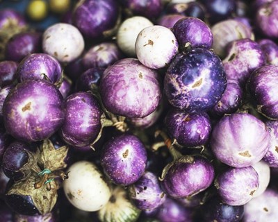Lisboa: Agrobio promove curso sobre produção biológica