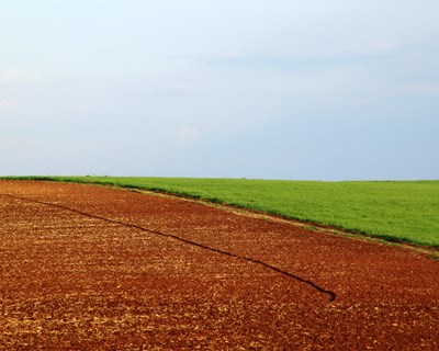 Lisboa: Confagri debate "a Agricultura, a PAC e o Desenvolvimento Rural"