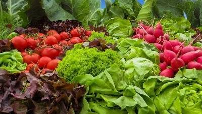 Lisboa debate a internacionalização do agroalimentar
