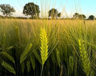 Lisboa debate gestão agrícola e florestal inteligente para as alterações climáticas