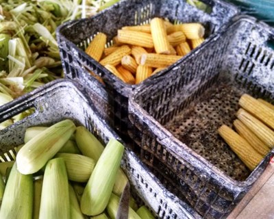 Lisboa discute cadeias curtas agroalimentares