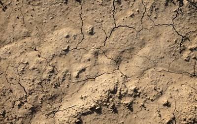Lisboa discute “Solos e Impacte das Alterações Climáticas”