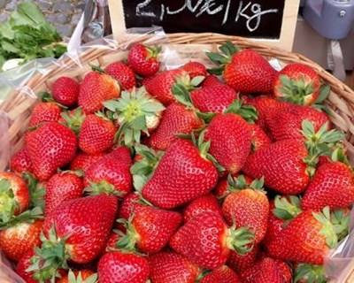 Lisboa: mercado de produtores todos os sábados na Quinta das Conchas