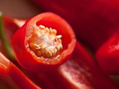 Lisboa: seminário “Investir na Agricultura Biológica” em novembro