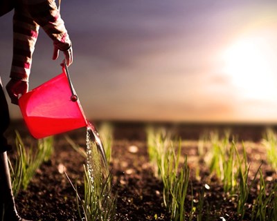 Lisbon Agri Conferences 2021 debate alterações climáticas e futuro do agroalimentar