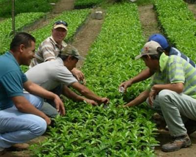 Livro: Horticultura Social e Terapêutica