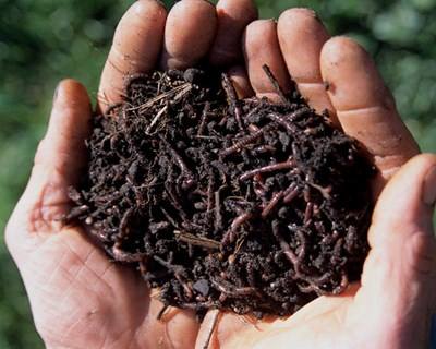 Livro: Manual de Vermicompostagem