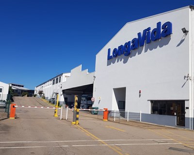Longa Vida seleciona Energia Unida para comunidade de energia em Matosinhos
