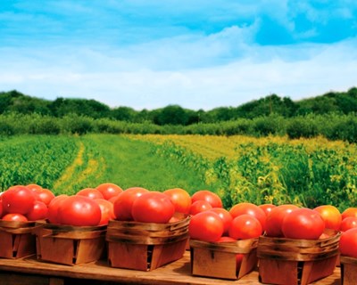 Loures: ação de sensibilização sobre Agricultura Biológica e Bolsa Nacional de Terras