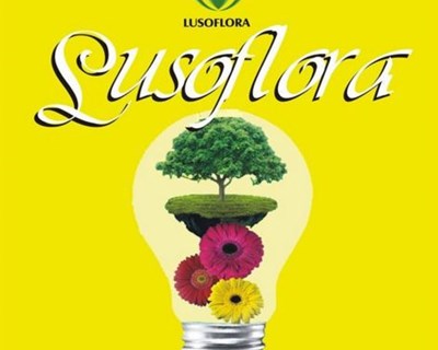 Lusoflora 2016 regressa a Santarém em fevereiro