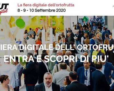 Macfrut digital aposta no setor da maçã