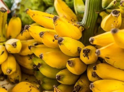 Madeira aposta nos produtores locais