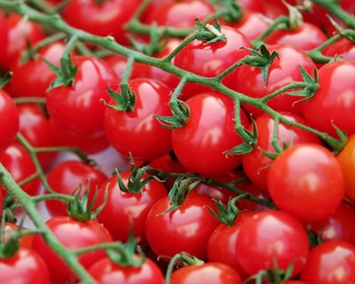 Madeira com 29 novos projetos na área da agricultura biológica