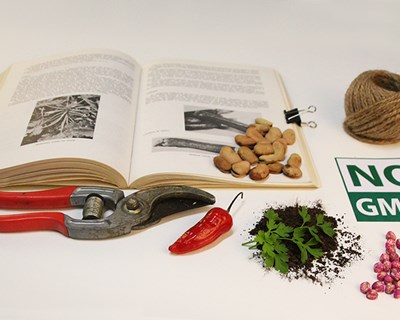 Madeira organiza curso de agricultura biológica