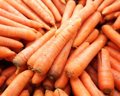 Mafra é palco de workshop sobre "Compra de produtos hortofrutícolas"