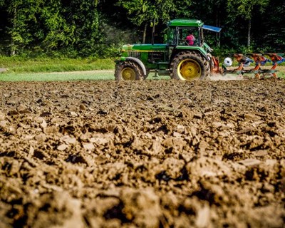 Mais apoios para os agricultores com seguro de colheitas e de compensação de sinistralidade