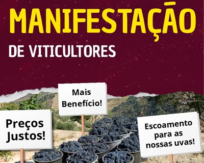 CNA: Manifestação de viticultores na Régua dia 2 de julho