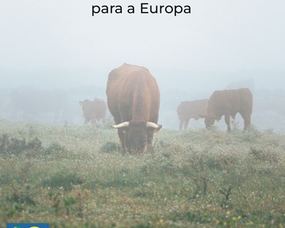 Manifesto em defesa da pecuária extensiva