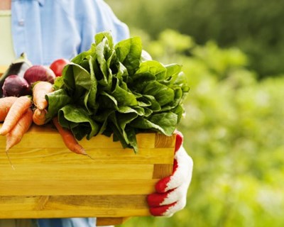 Manual da CAP ajuda pequenos agricultores com obrigações fiscais