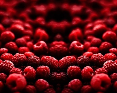 Maravilha Farms investe €19 milhões para aumentar produção de frutos vermelhos