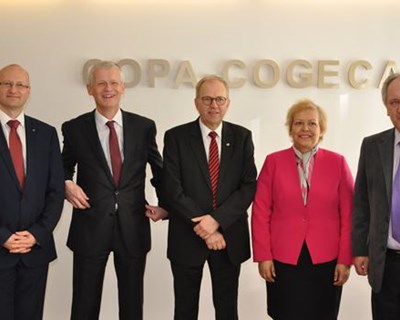 Maria Antónia Figueiredo eleita vice-presidente da COPA-COGECA