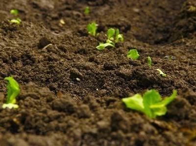 Matosinhos é palco de manifestação de agricultores a 14 de março