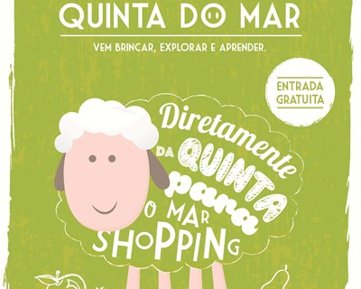 Matosinhos recria espaço rural para crianças e mercado tradicional