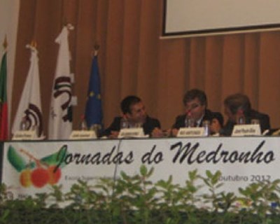 Medronho, um “tesouro” a descobrir