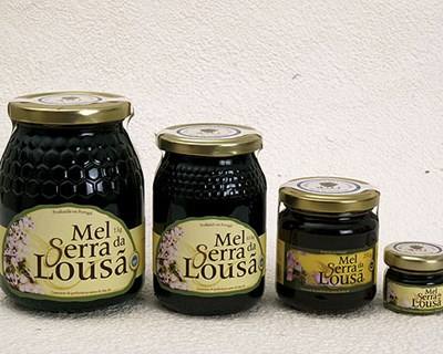Mel e Castanha da Lousã promovem-se em Coimbra